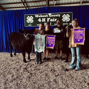 Meet your Posher, Madison